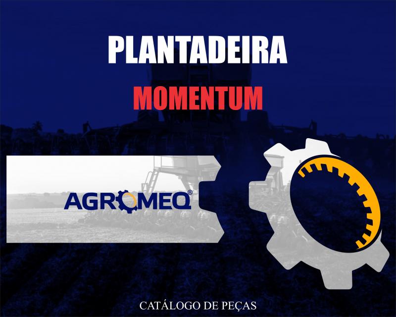 MOMENTUM - PLANTADEIRA
